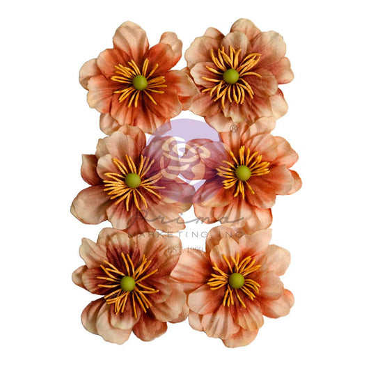 THB FLOWERS- CARAMEL DELIGHT (6 PCS)