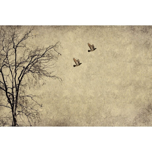 FLYING BIRDS