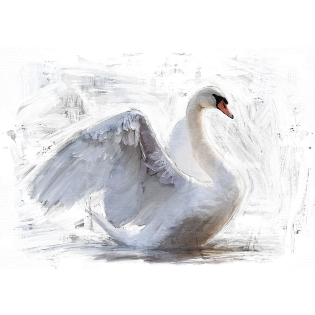 REVERSE WHITE SWAN