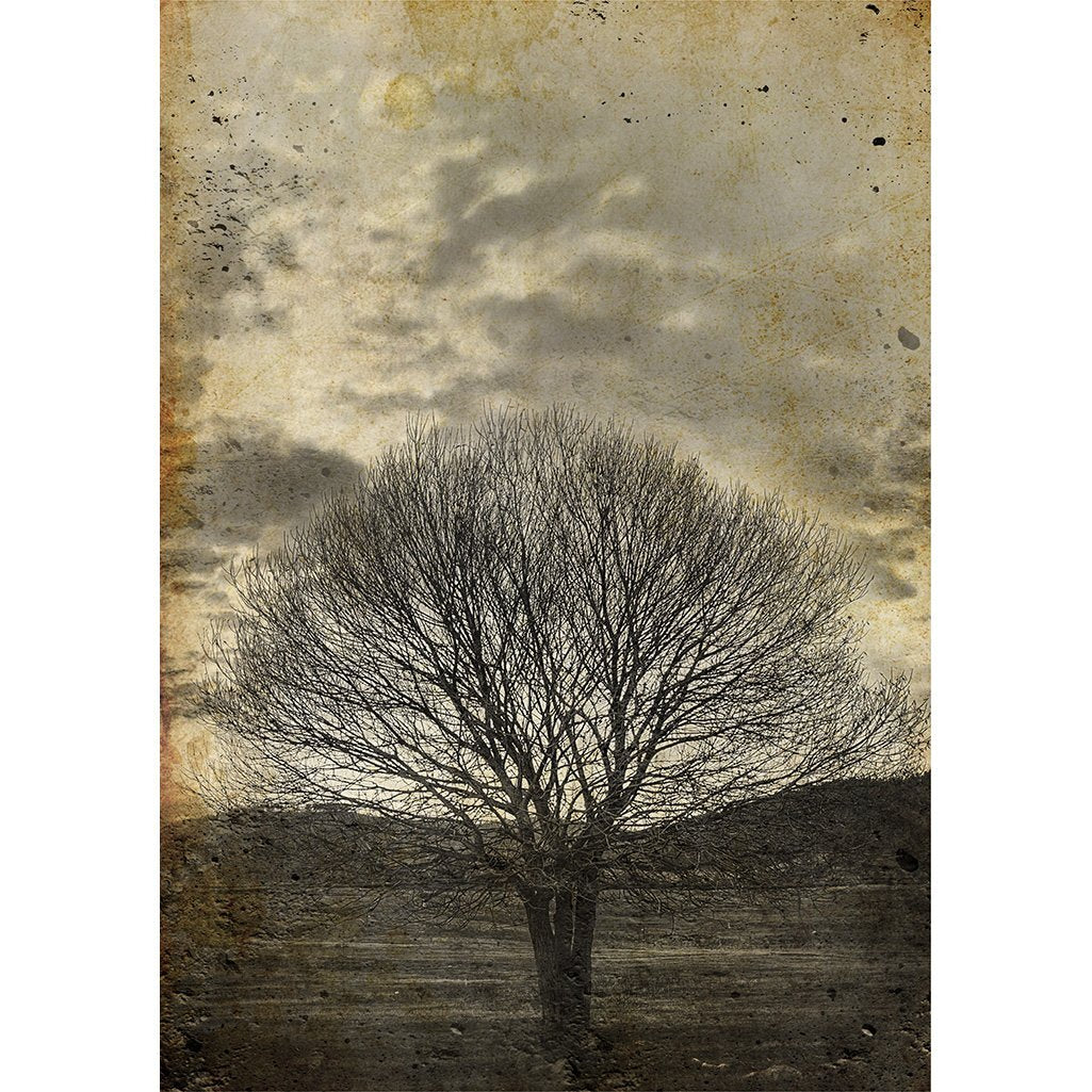 SEPIA TREE