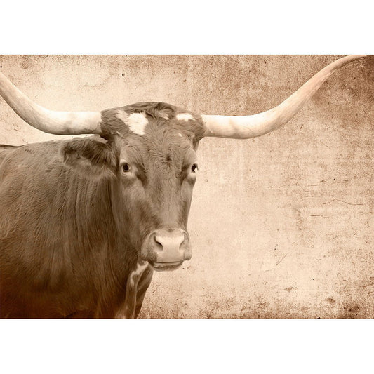 TEXAS LONGHORN