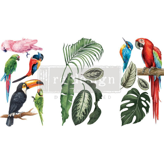 TROPICAL BIRDS